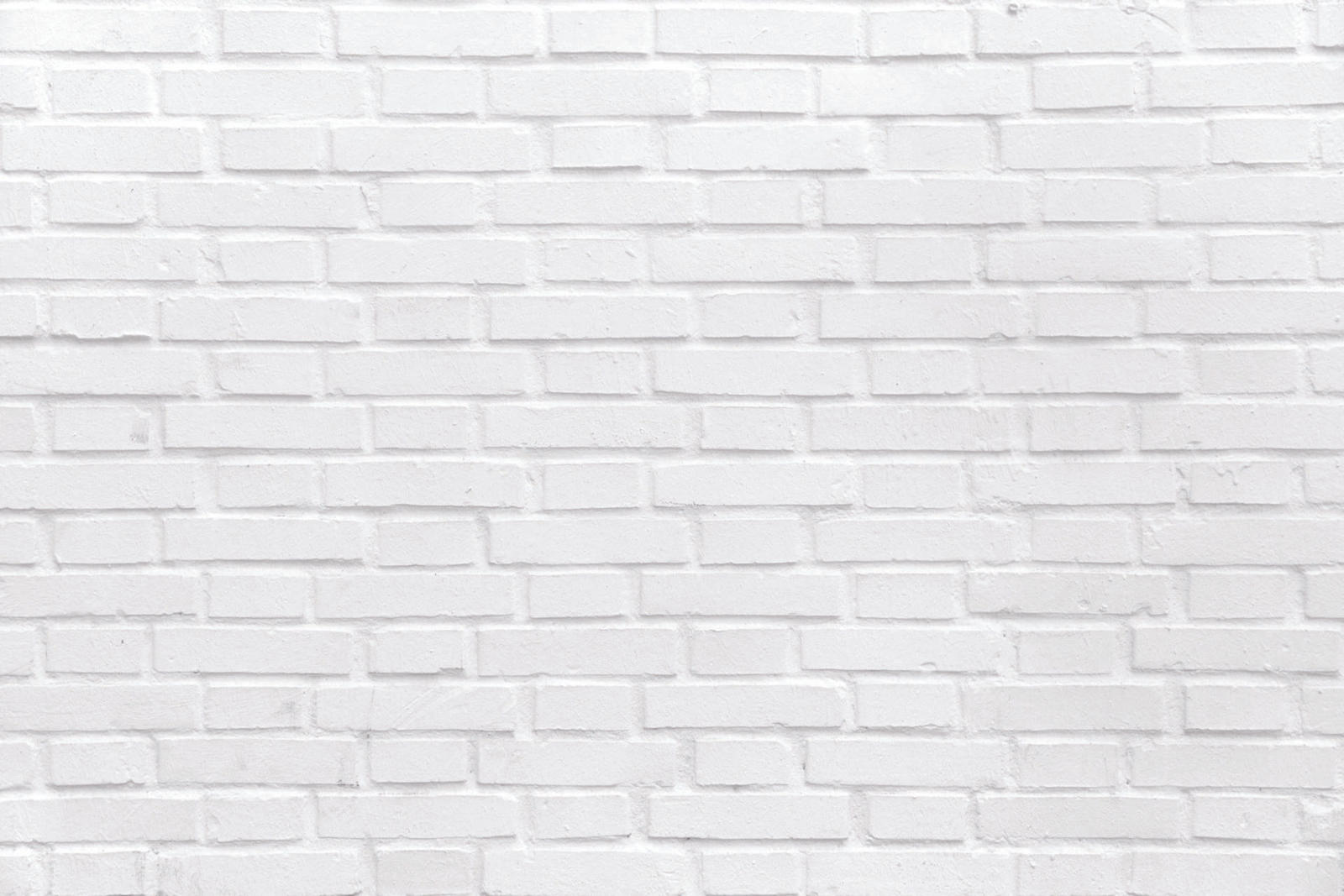 white brick wall background