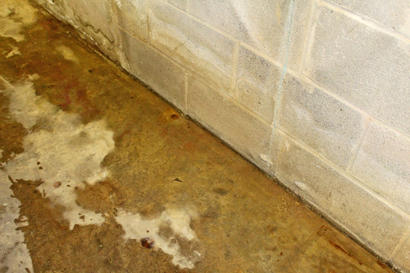 Leaking basement floor with standing water.