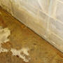 Leaking basement floor with standing water.