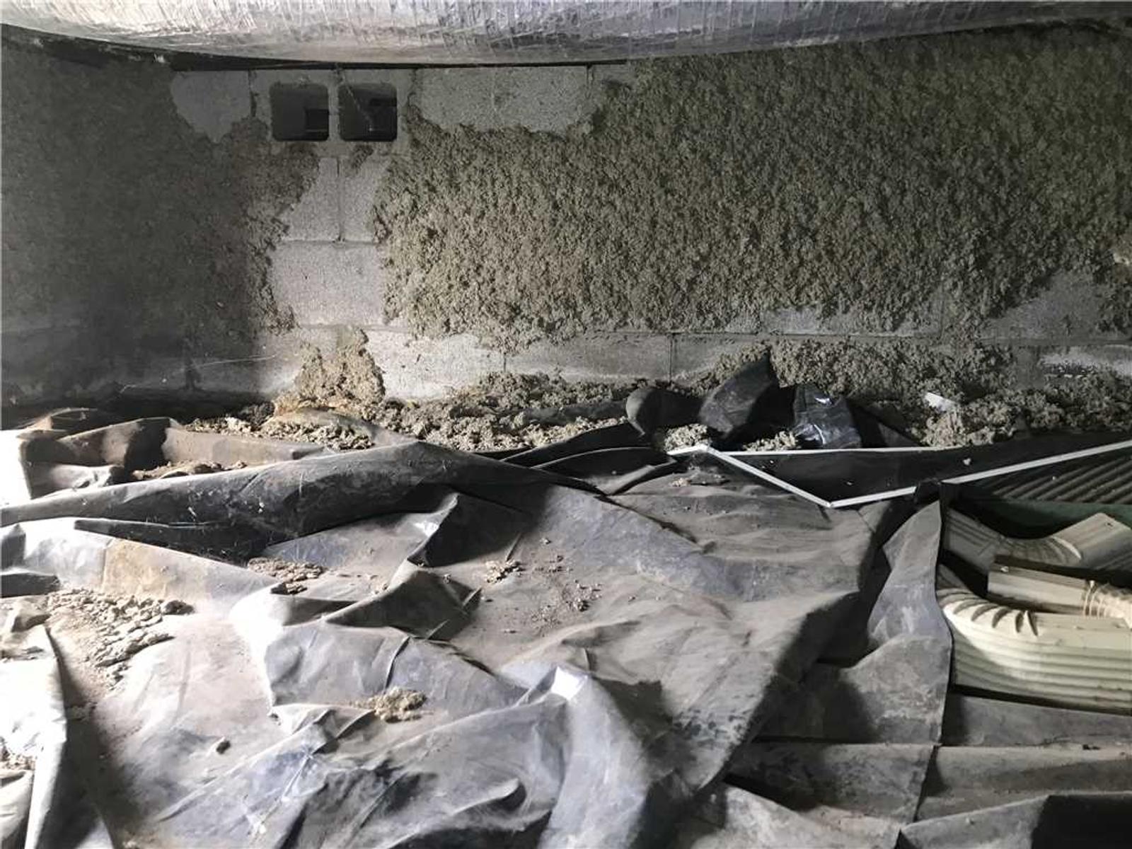 Crawl space with exposed concrete walls and plastic sheeting on the ground.