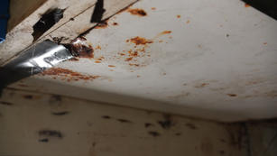 Condensation and rust in basement