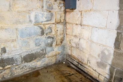 Moldy, water-stained walls due to wet basement cove.