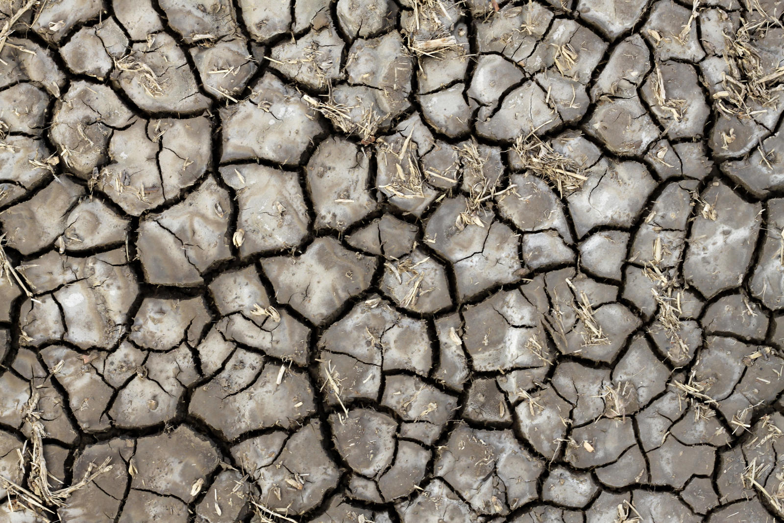 Dry soil