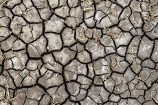 Dry soil