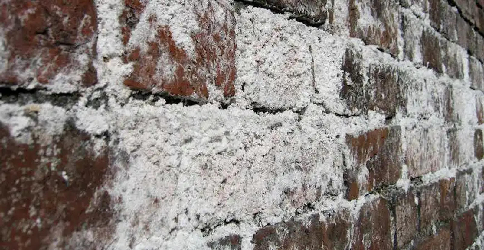 Heavy Efflorescence on brick