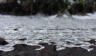 Ice on ground