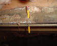 Pencil piercing rotten wood