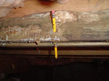 Pencil piercing rotten wood