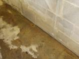 Water seeping into basement at cove next to concrete block wall\