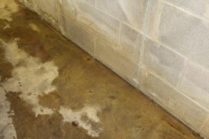 Water seeping into basement at cove next to concrete block wall\