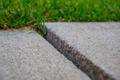 uneven and cracked sidewalk with grass