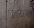 cracking and peeling paint on basement wall