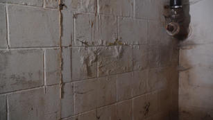 cracking and peeling paint on basement wall
