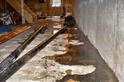Water seeping from cove in basement wall