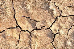 Dry and cracked soil.
