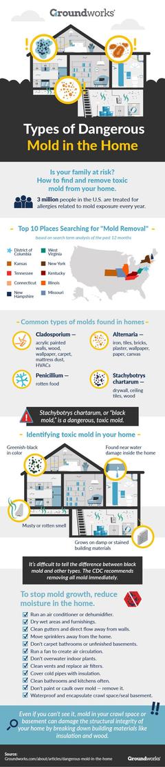 Types of Dangerous Mold in the home infographic.