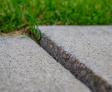 Close-up of two concrete slabs with a narrow gap. A small tuft of grass is growing in the space.