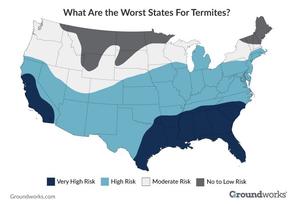 Worst States for termites map graph.