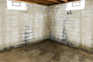 Basement Waterproofing - Before