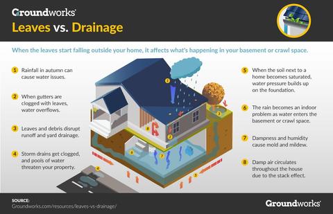 leaves vs drainage infographic