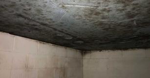A damp, moldy ceiling and walls in a poorly lit room.