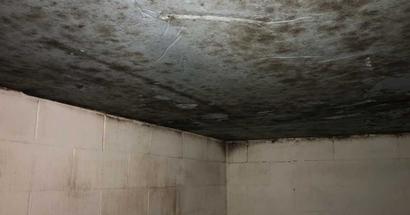 A damp, moldy ceiling and walls in a poorly lit room.