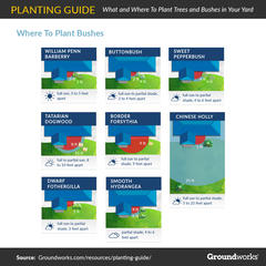 planting guide