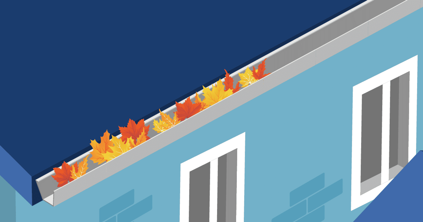 whats on your roof illustrated featured image