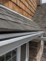 Close-up of roof and gutters.