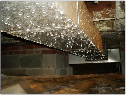 Close-up of condensation in crawlspace.
