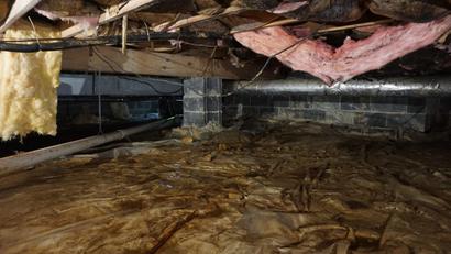 Wet crawlspace with insulation falling and dirty vapor barrier.