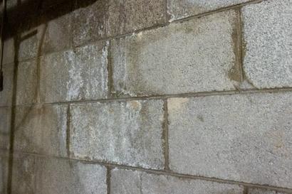Efflorescence on an interior cinderblock wall.