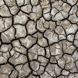 Shrinking and dry, cracked soil.