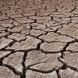 Dry and cracked soil.