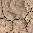 Cracked and dry soil.