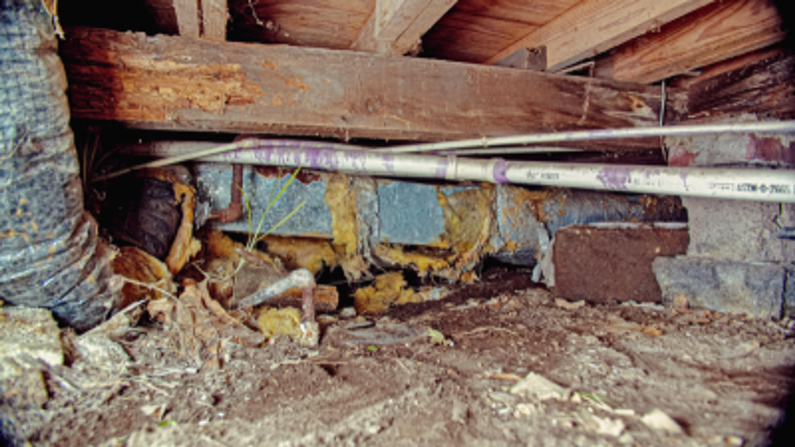 Dirty crawlspace with rotten wood joist and sagging floors.
