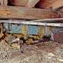 Dirty crawlspace with rotten wood joist and sagging floors.
