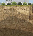 Layers of the soil animation.