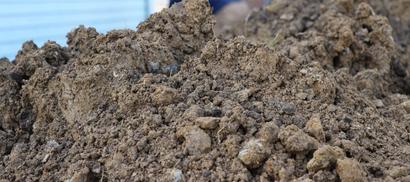 A mound of soil.