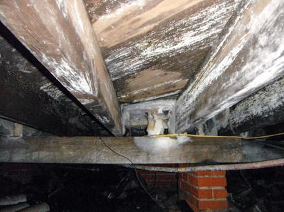 wood rot in a crawl space