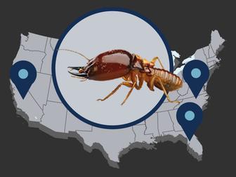 Worst us states for termites illustration on U.S Map