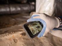 Gloved hand holding a smartphone displaying an image of insects on a light surface.