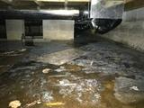 water in crawl space