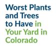 Worst Plants and Tree to Have in Your Colorado yard text.
