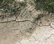 Dry, cracked earth with sparse green grass at the edges.