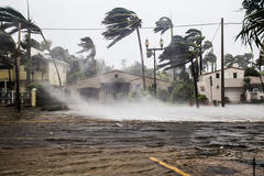 Flooded street with strong winds and bent palm trees during a storm, water surging around houses.