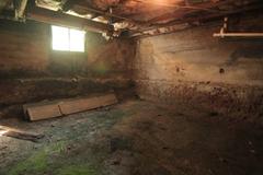 mold and moisture