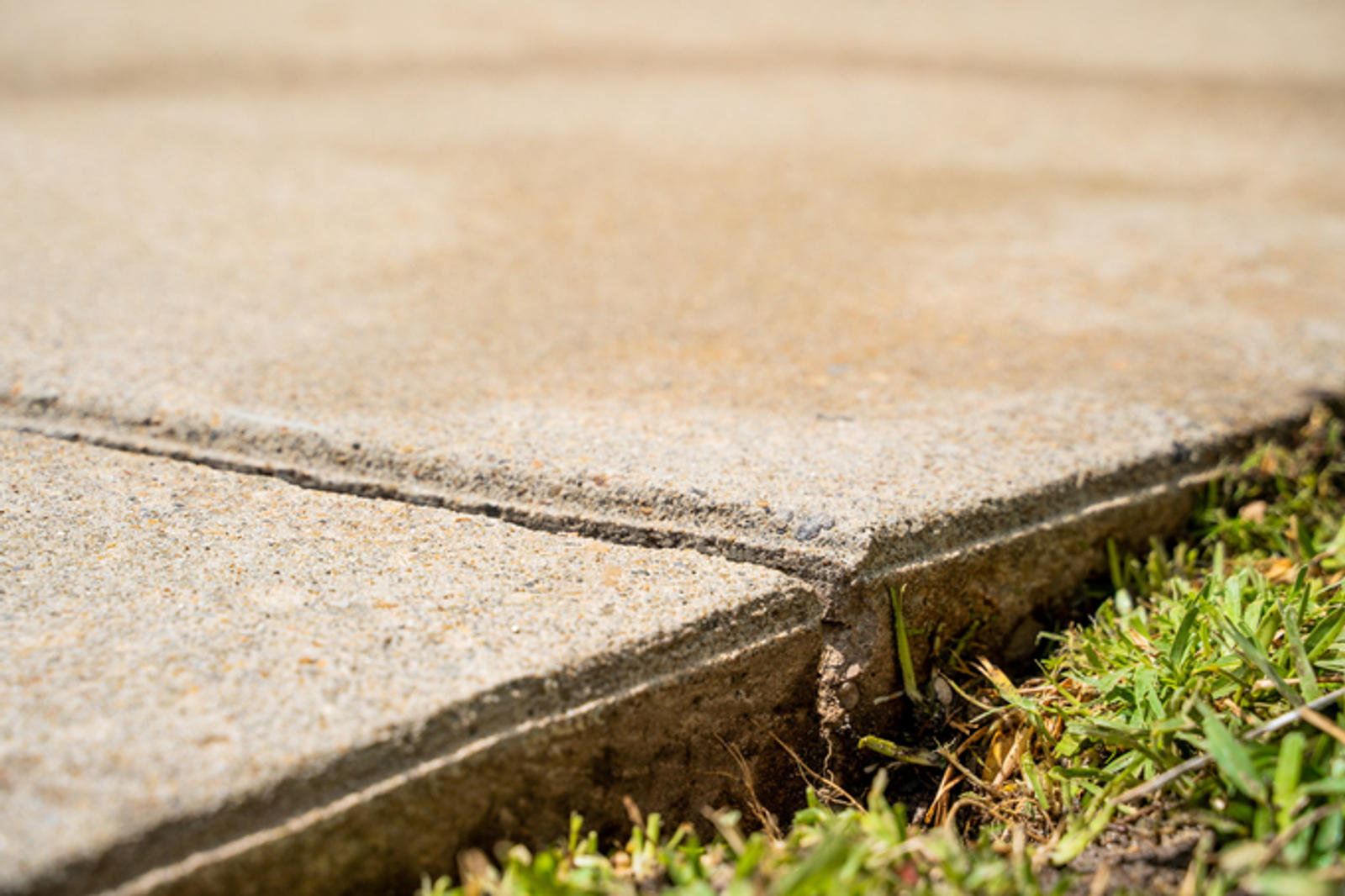 A close-up of an uneven sidewalk.