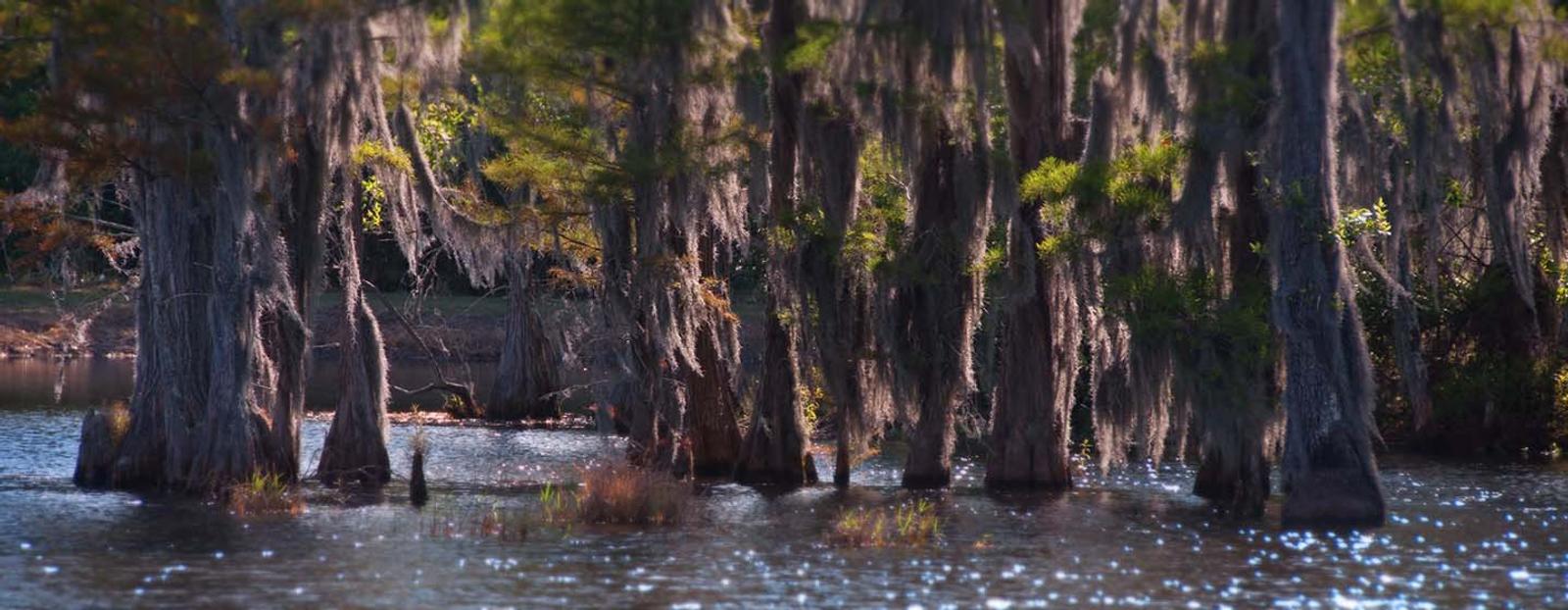 A body of water in Valdosta.