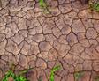 Dry cracked soil in drought with sprigs of grass